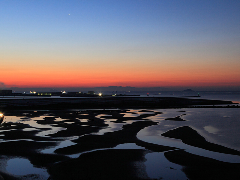 干潟（夜明け）.jpg