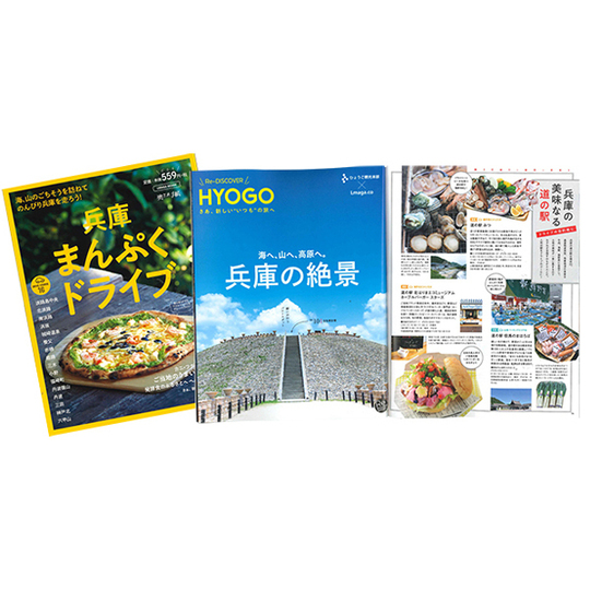 各駅停車全国歴史散歩 (29) 兵庫県 Amazon.co.jp: 兵庫県の歴史散歩 (下) (歴史散歩 28) : 兵庫県の